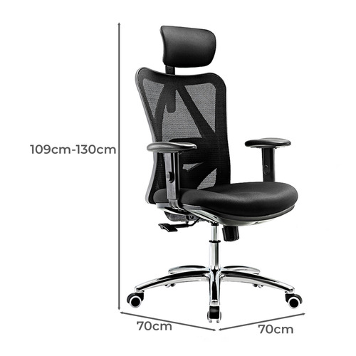 Baren Ergonomic Office Chair