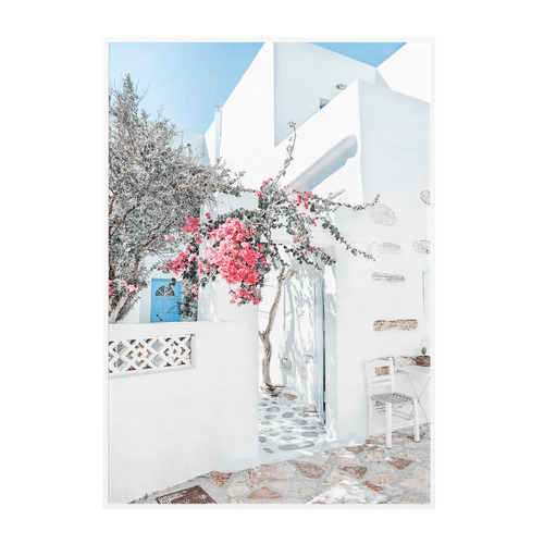 Bougainvillea Framed Printed Wall Art | Temple & Webster