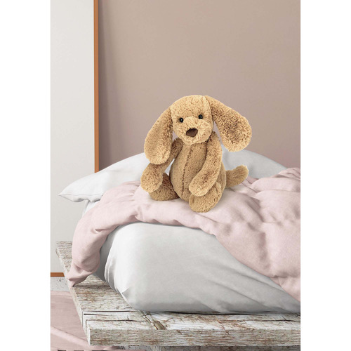 Jellycat Toffee Bashful Puppy Plush Toy | Temple & Webster