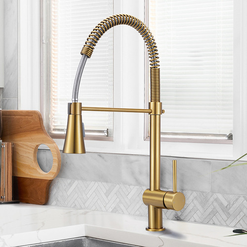 BraxtonHome Nour Spring Kitchen Sink Mixer | Temple & Webster