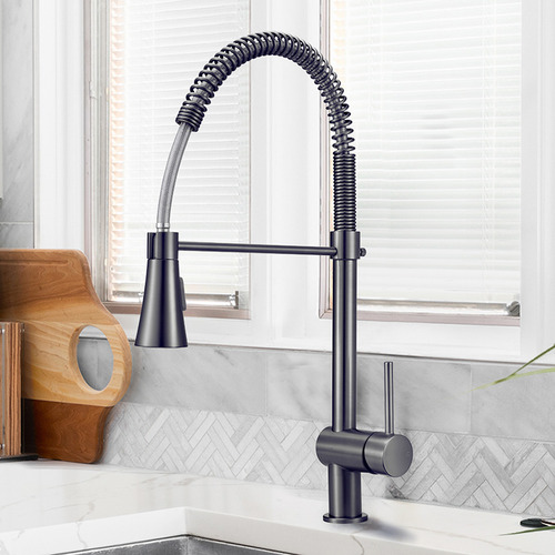 BraxtonHome Nour Spring Kitchen Sink Mixer | Temple & Webster