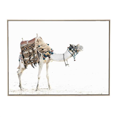 Moroccan Camel Framed Canvas Wall Art