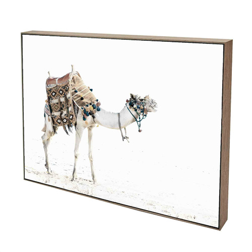 Moroccan Camel Framed Canvas Wall Art | Temple & Webster