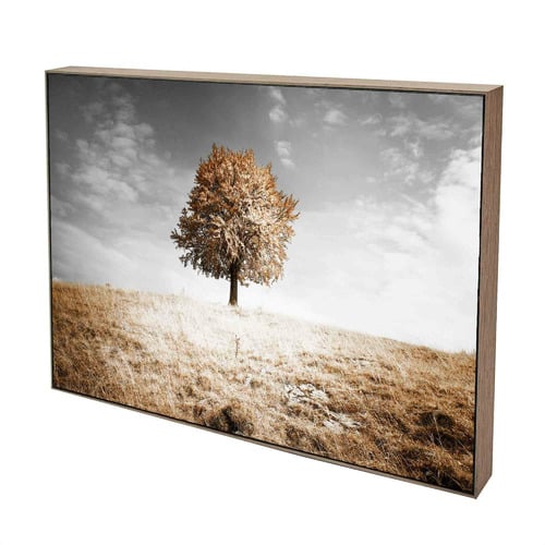 One Tree Hill Framed Canvas Wall Art