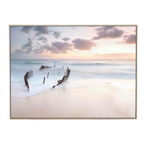 Shipwreck Shore Framed Canvas Wall Art