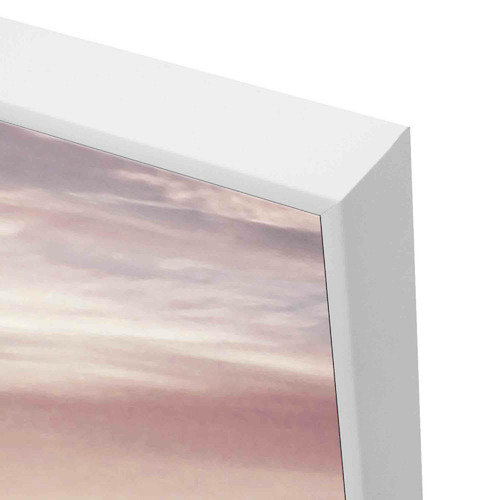 Violaceous Framed Canvas Wall Art