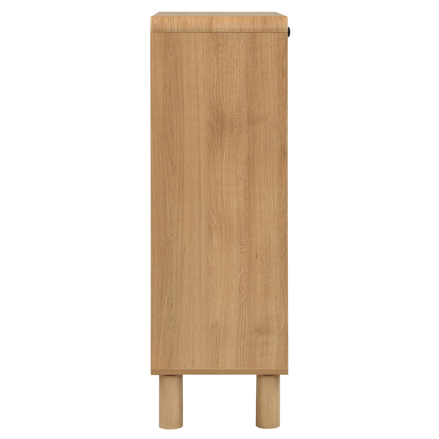2 Door Shoe Cabinet
