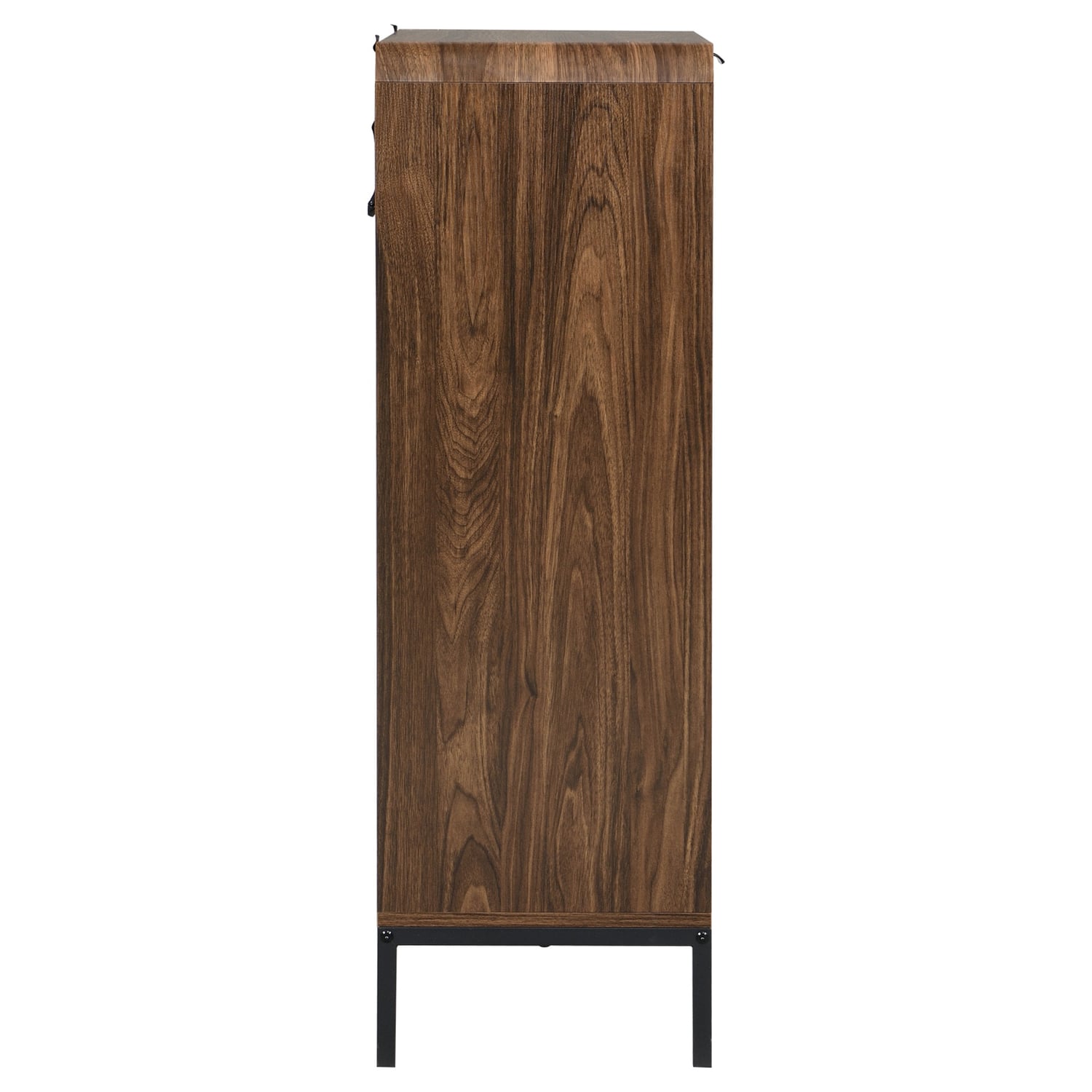 2 Door Wavy Shoe Cabinet