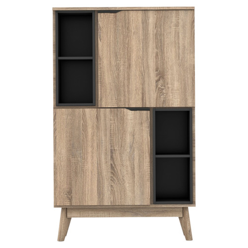 Lacandon 2 Door Storage Cabinet