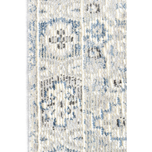 Blue Danial Runner