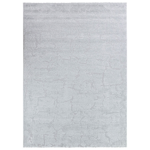 Cassian Rayl Contemporary Rug