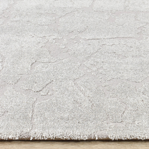 Cassian Rayl Contemporary Rug
