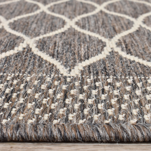 Brown Eula Power-Loomed Indoor/Outdoor Rug