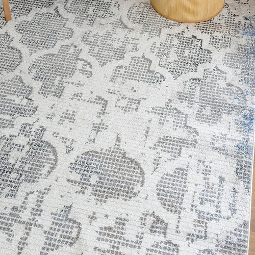 Rocio V Power-Loomed Rug
