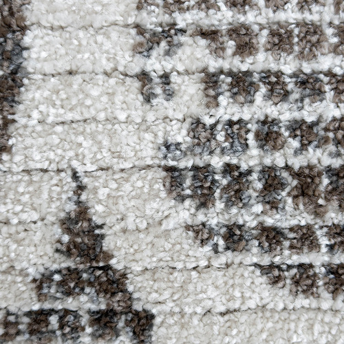 Rocio V Power-Loomed Rug