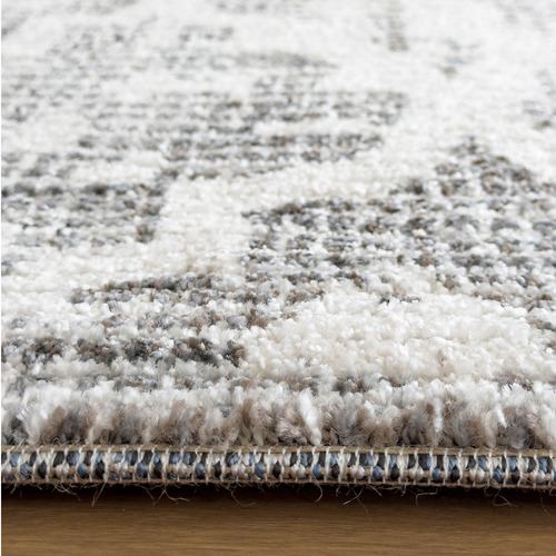 Rocio V Power-Loomed Rug