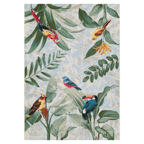 RugDestination Kehlani Birds Indoor/Outdoor Rug | Temple & Webster