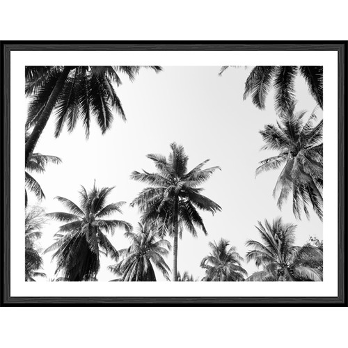 Kayla Bay by Temple & Webster Coconut Palm Trees Framed Print