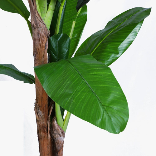 180cm Potted Faux Banana Tree | Temple & Webster