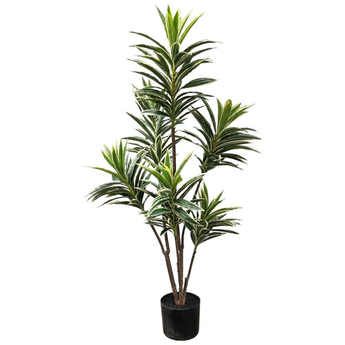 Conservatory 116cm Potted Faux Variegated Dracena Tree | Temple & Webster