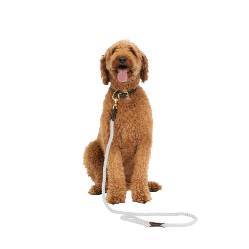 Leather & Cotton Rope Dog Collar