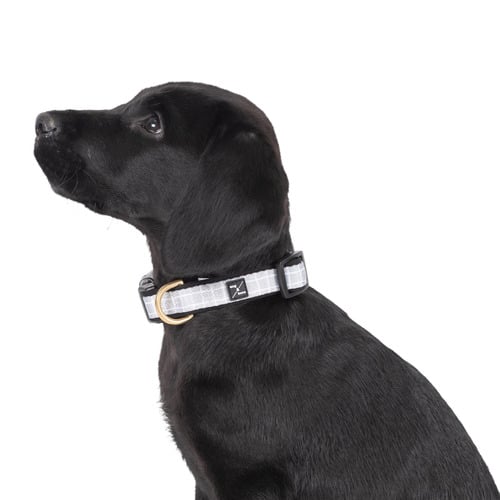 Grey Check Neoprene Dog Collar