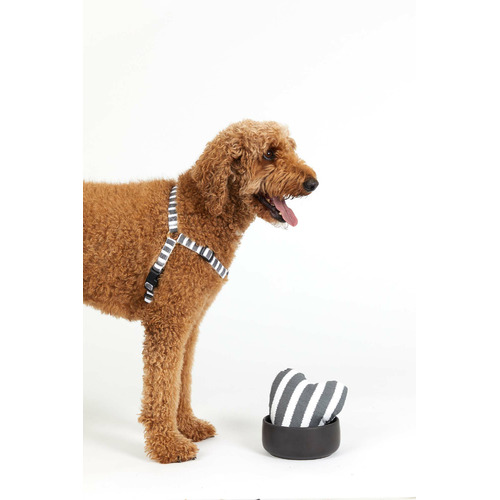 Hamptons Stripe Cotton Heart-Shaped Pet Toy