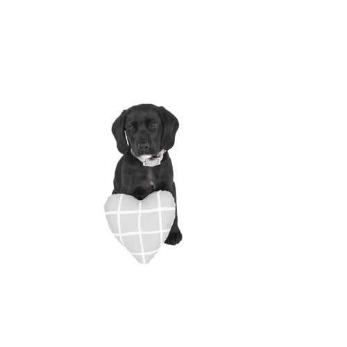 Check Cotton Heart-Shaped Pet Toy