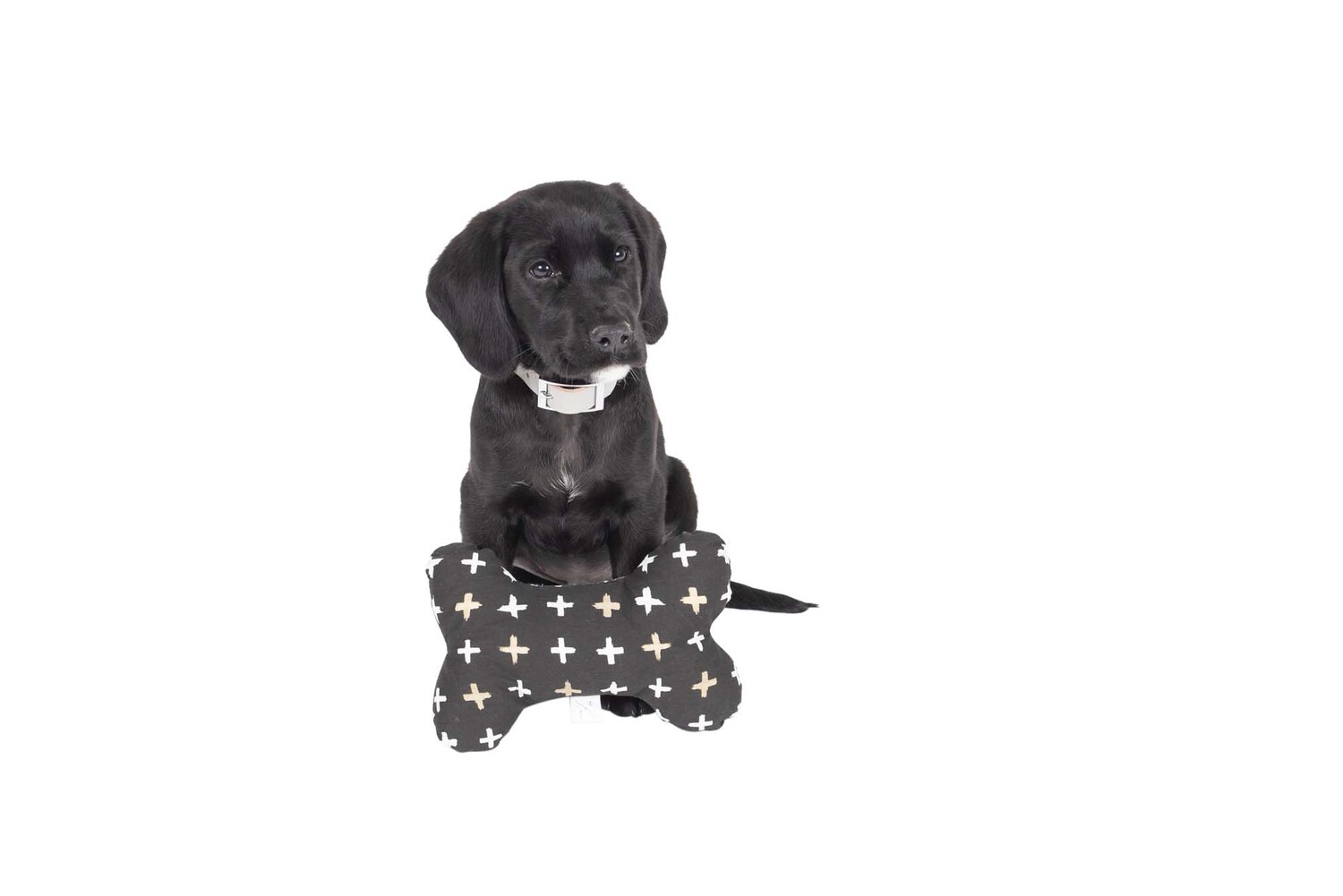 Black Metallic Cross Cotton Bone-Shaped Pet Toy