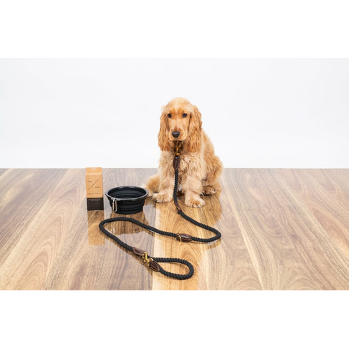 1.8m Leather & Cotton Rope Dog Lead