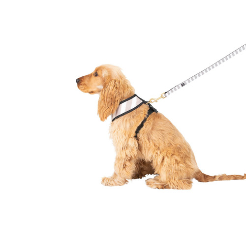 Hamptons Stripe Dog Harness | Temple & Webster