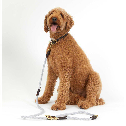 1.8m Leather & Cotton Rope Dog Lead
