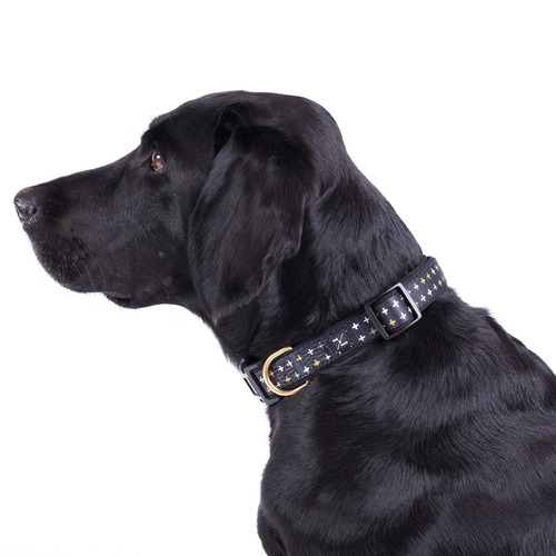 Black Metallic Cross Dog Collar | Temple & Webster