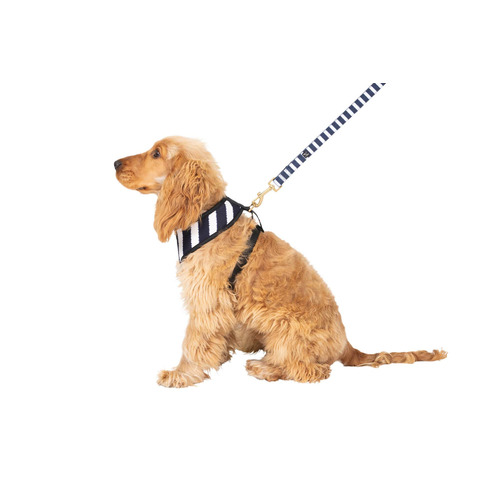 Neoprene Dog Collar - Latte Hamptons Stripe Print – Mog & Bone
