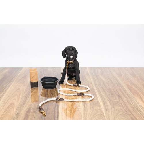 1.8m Leather & Cotton Rope Dog Lead