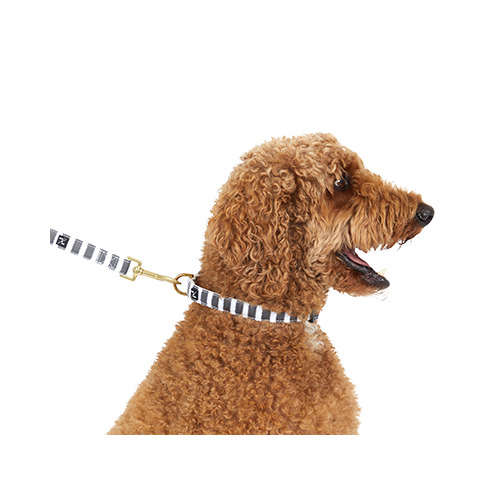 Charcoal Hamptons Stripe Hemp Dog Collar