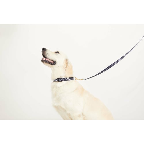Navy Cross Hemp Dog Collar