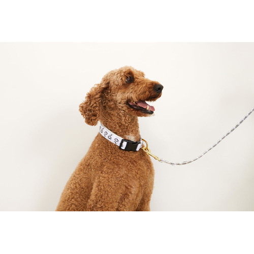 Shadow Quartz Hemp Dog Collar