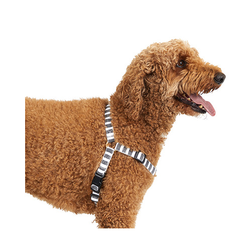 Charcoal Hamptons Stripe Hemp No-Pull Dog Harness
