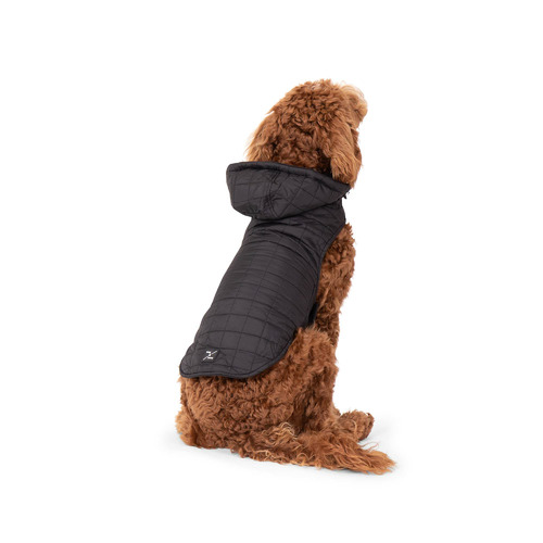 Dog Puffer Jacket Temple & ster
