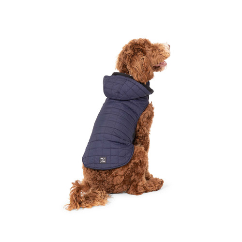 Dog Puffer Jacket Temple & ster