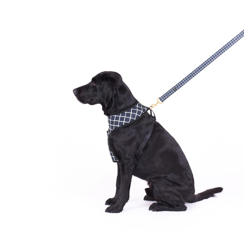 Chequered Neoprene Dog Harness