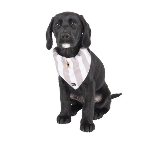 Hamptons Stripe Dog Bandana