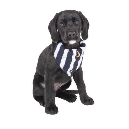 Hamptons Stripe Dog Bandana