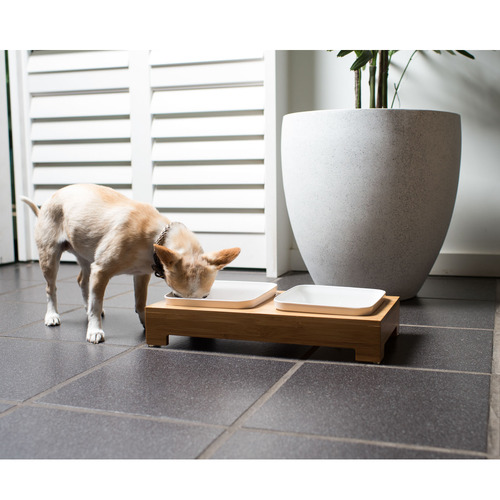 Mog&Bone Dog Feeding Station Temple & ster