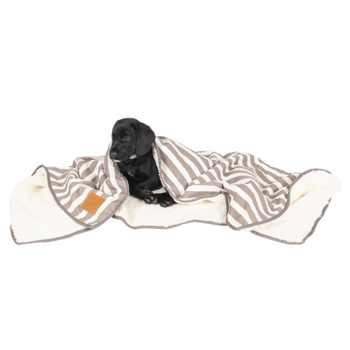 Hamptons Stripe Fleece Dog Blanket