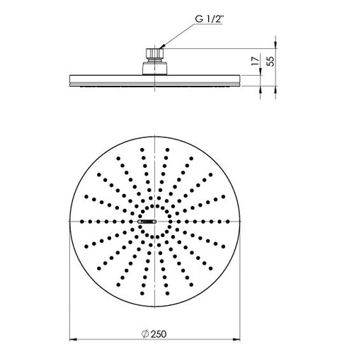 NX Vive Shower Head