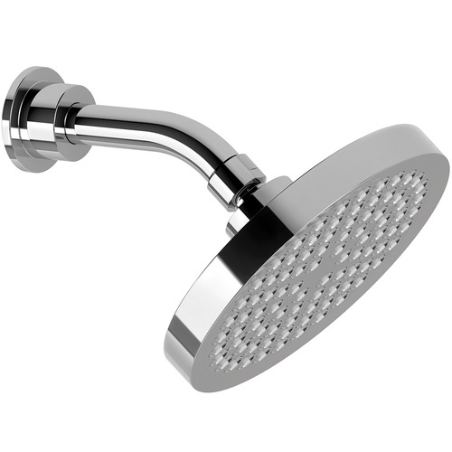 Pina Round Shower Head & Arm | Temple & Webster