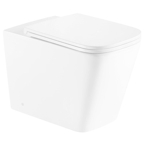 Enox Rimless Wall Faced Toilet Pan Temple & ster