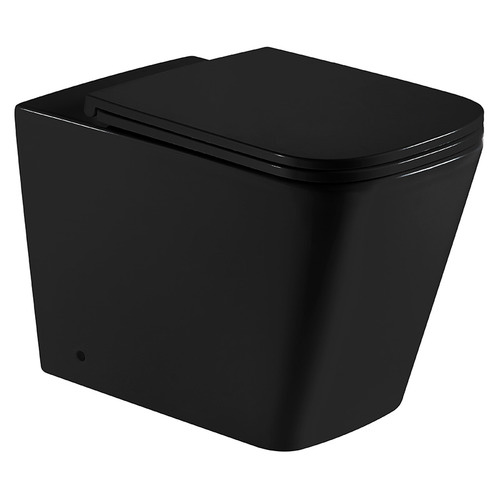 Enox Rimless Wall Faced Toilet Pan Temple & ster